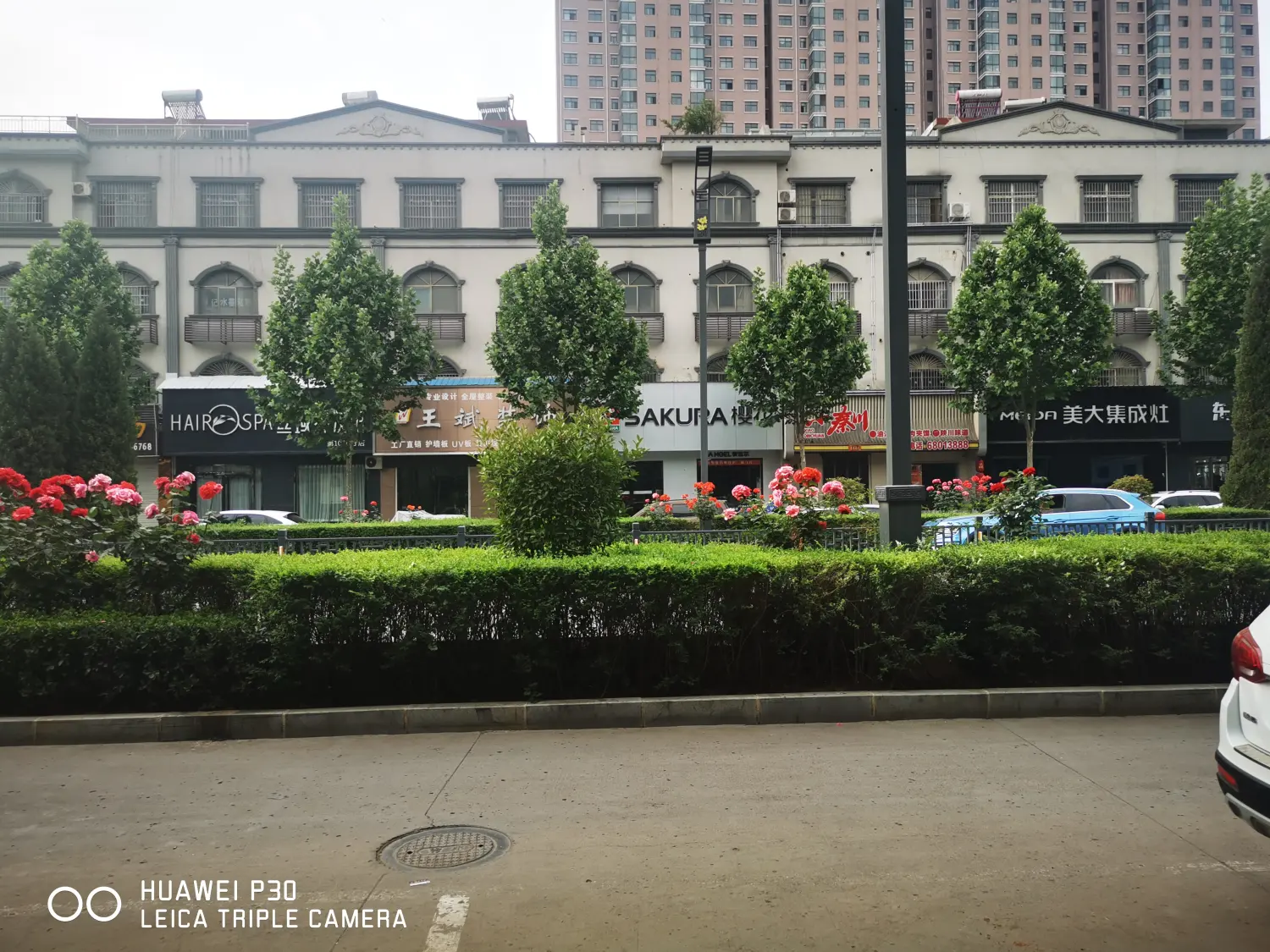 8962057-ebccd584d517d493.webp