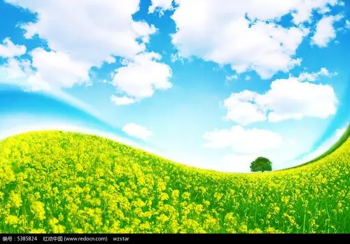 u=1139502022,806018218&fm=26&fmt=auto&gp=0.webp