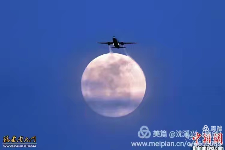 9b79d64f4394415b9341591d5cdee16a.jpg