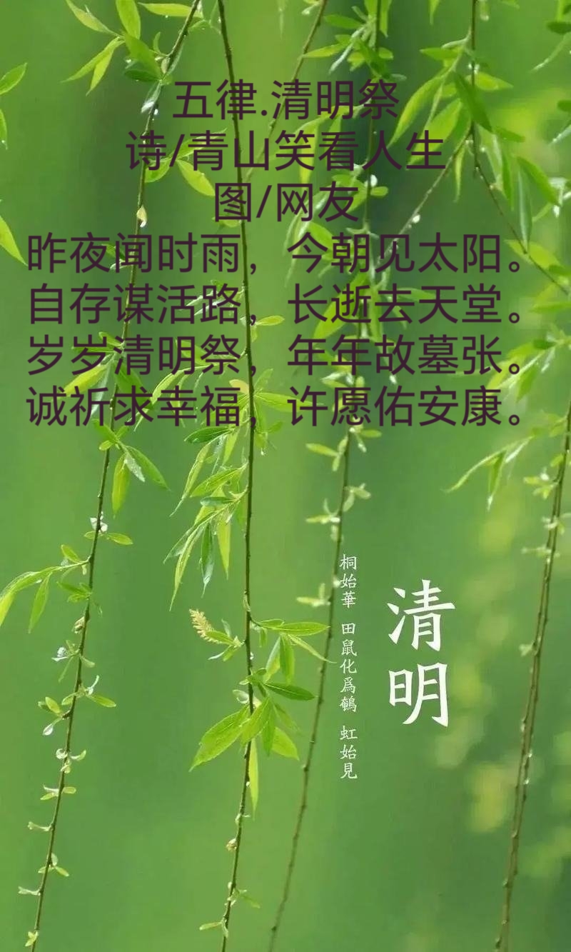MEITU_20250404_124159916.jpg