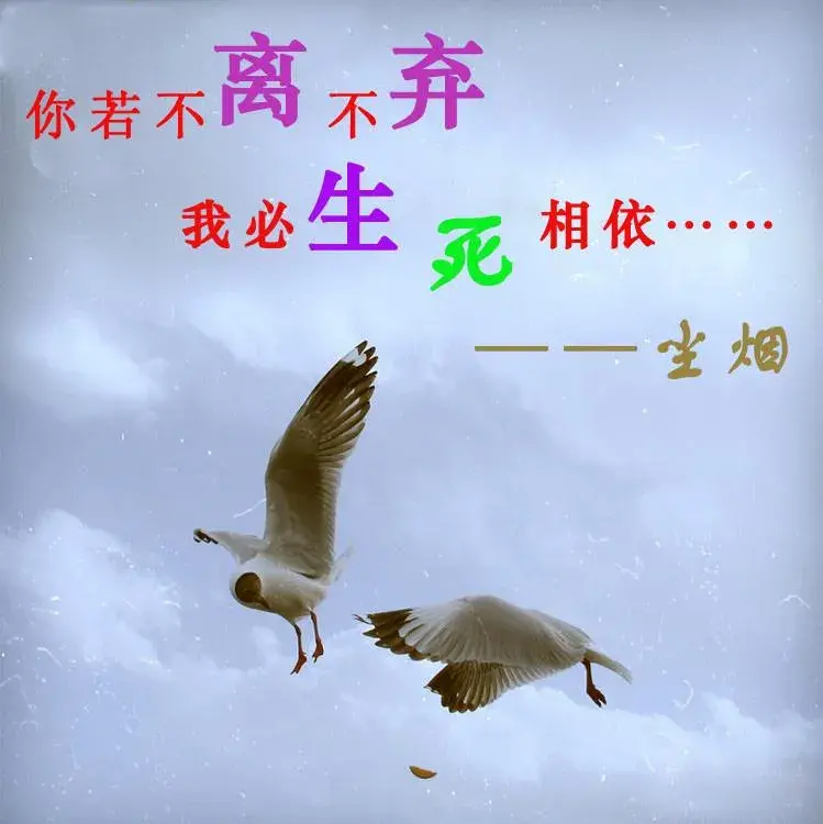 c445b6477c9af4e7d1d3714cdeab929f.jpg