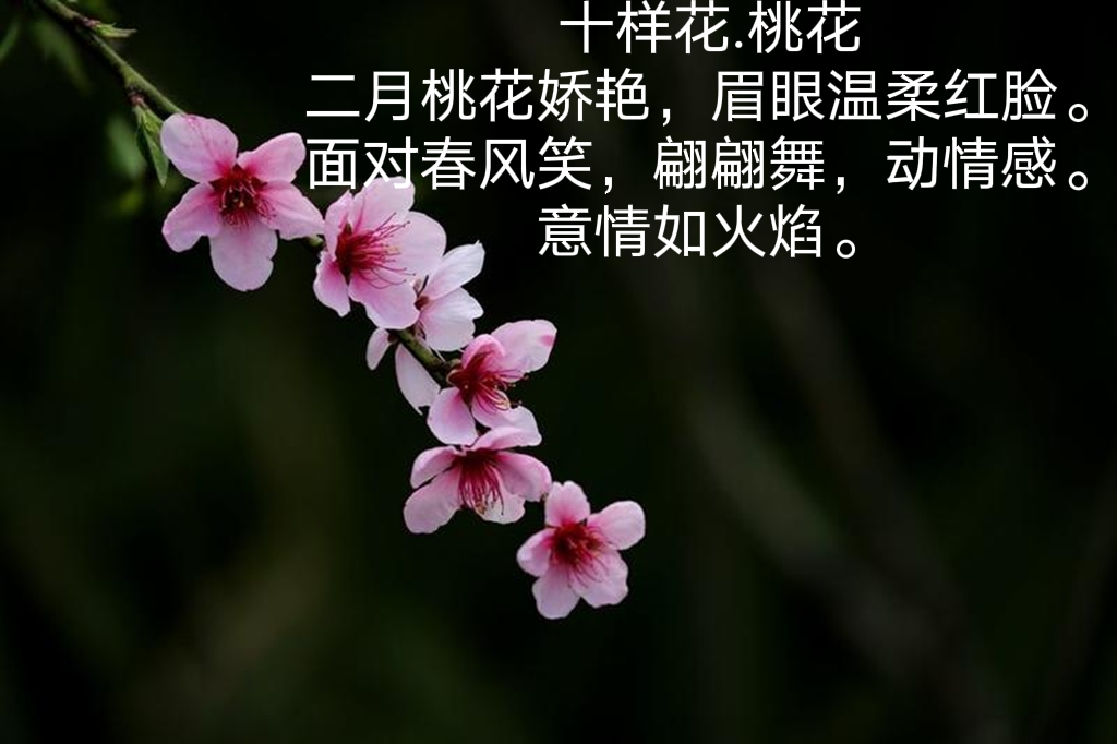 Cg-4kliLclWIbz3XAADIlUUJ36IAAAouQKZWasAAMit292_mh1643458341253.jpg