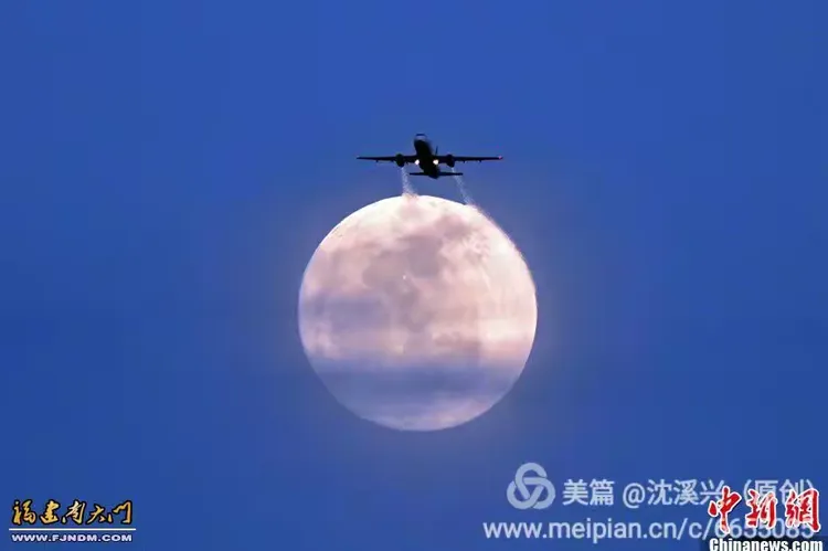 mmexport5d8b03278ac0ea25d520a6c2bb163153_1755604638738.webp