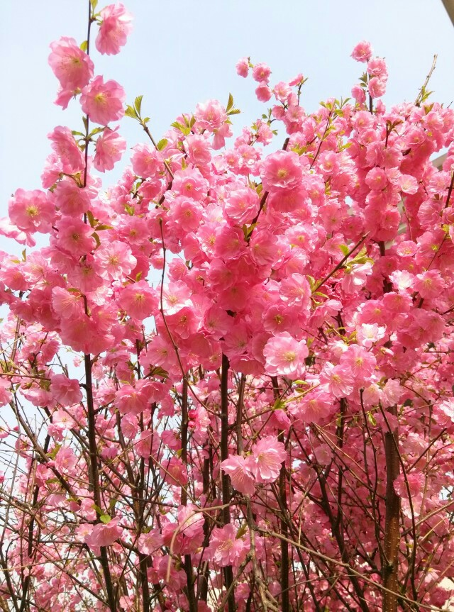 blog_20210305213438.jpg