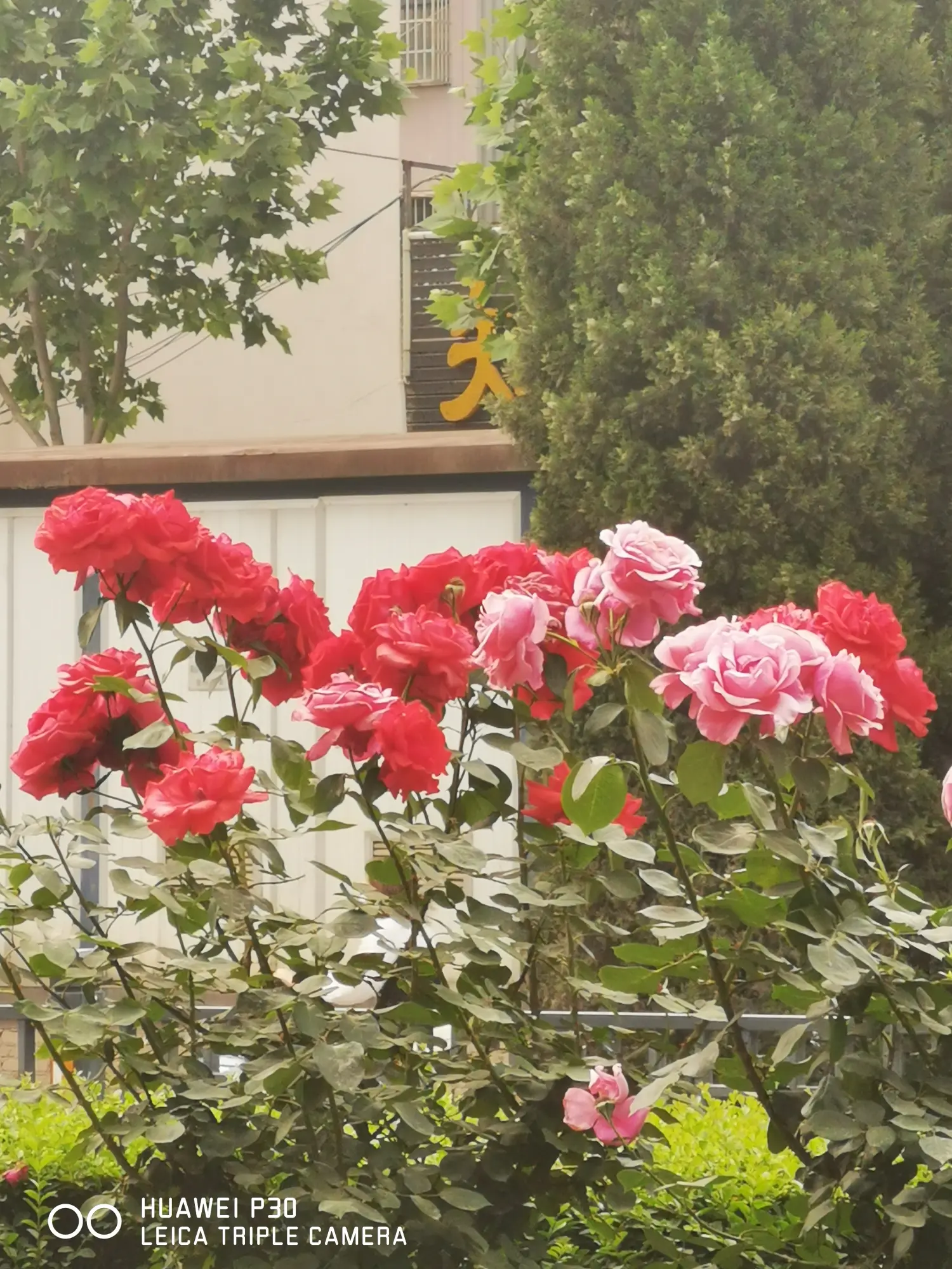 8962057-db91330d9a2dbd1d.webp
