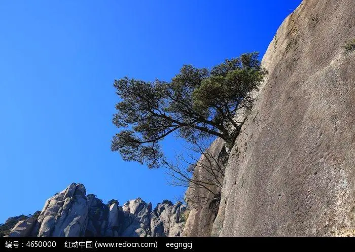 u=2649704516,1880889232&fm=253&fmt=auto&app=138&f=JPEG.webp
