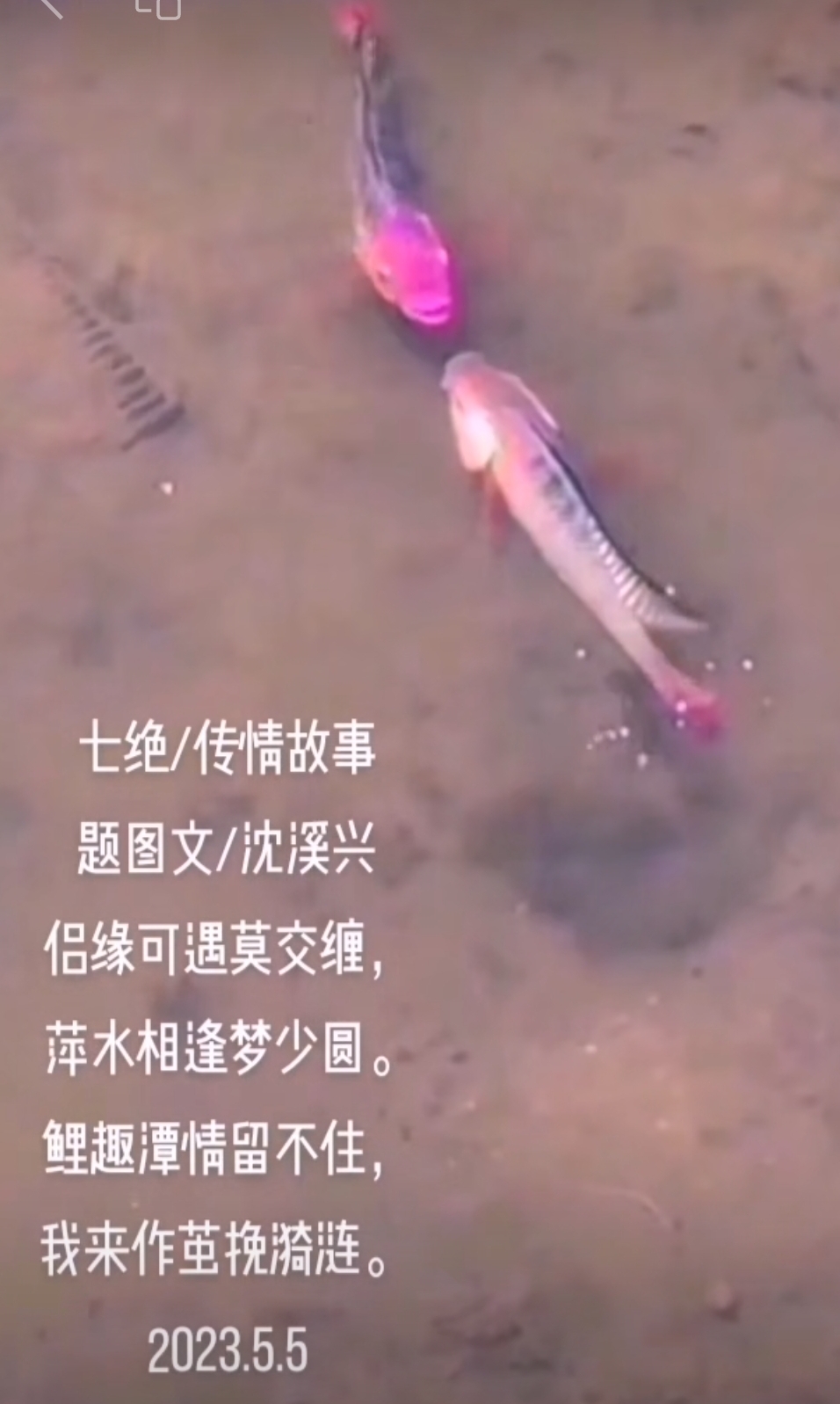 Screenshot_20250727_125036_com.tencent.mm.jpg