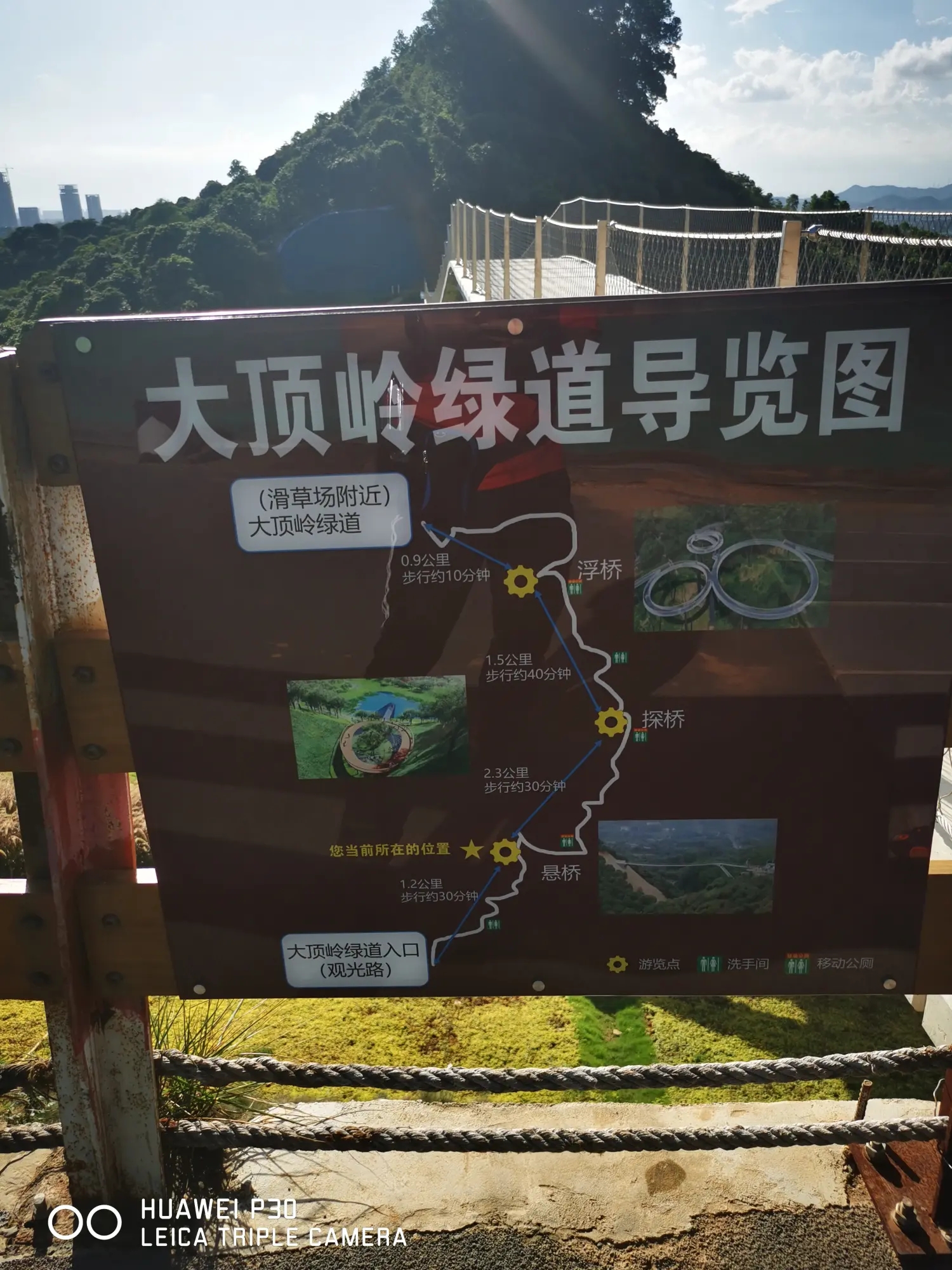 8962057-4f12ce2daa9ce8d0.webp.jpg