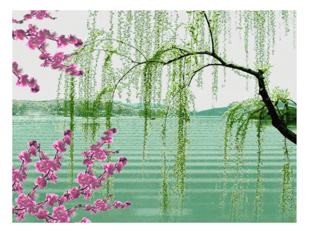 IMG_20200319_090550.png