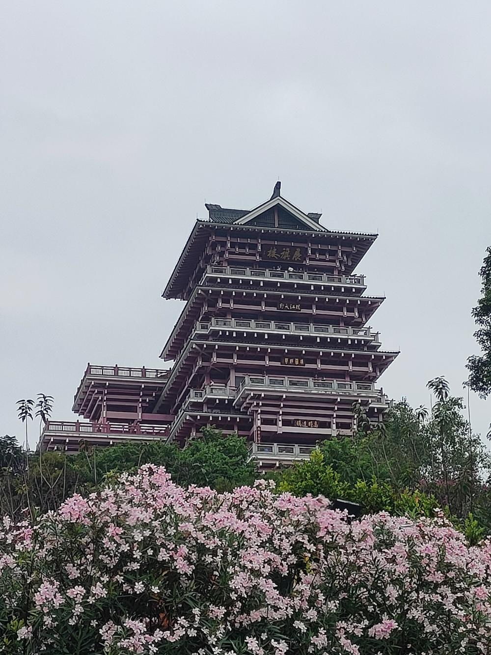 IMG20231210111834.jpg
