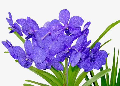 u=3942416885,3624096197&fm=26&fmt=auto.webp