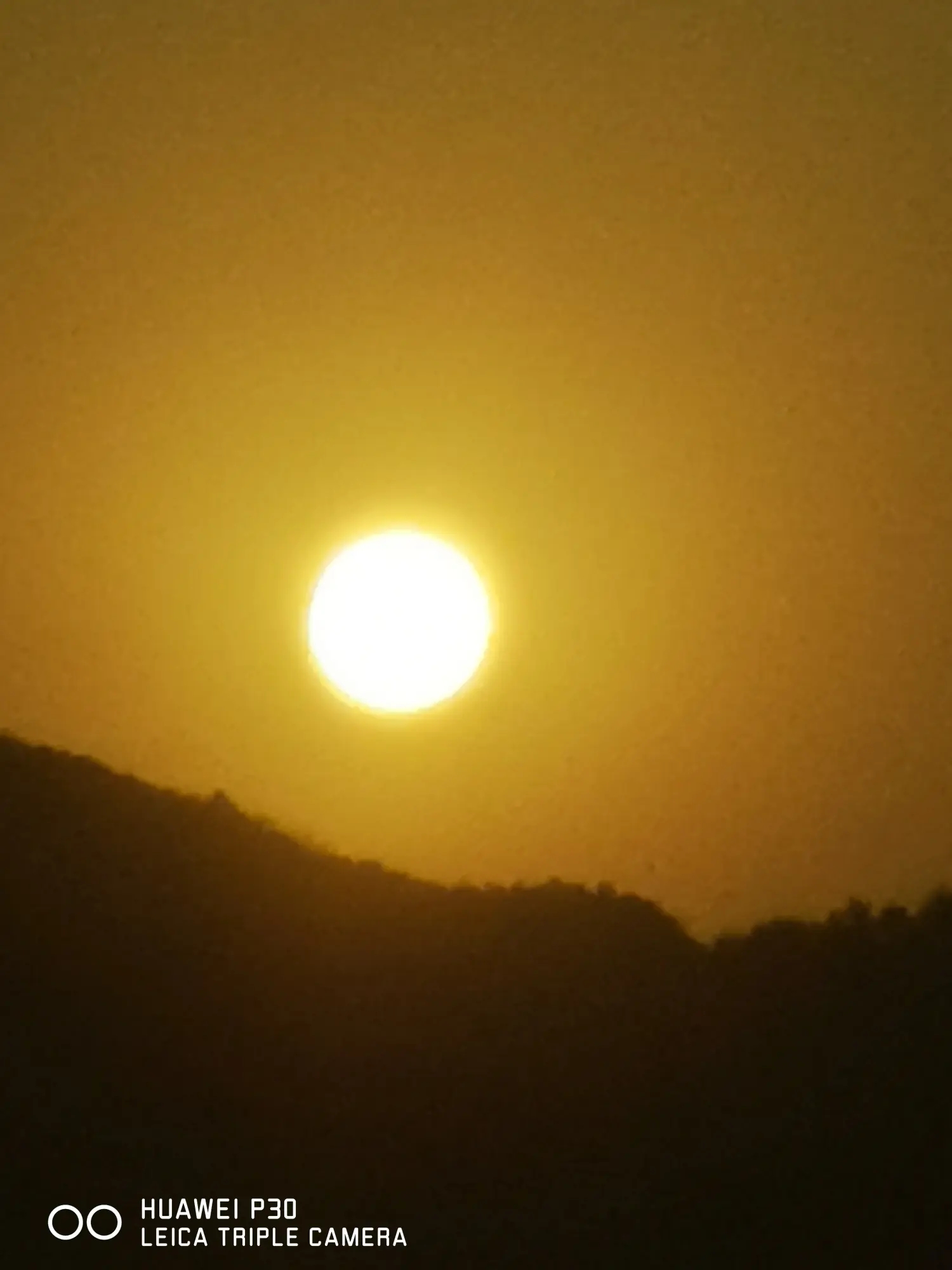 8962057-b296b47c656c4d9a.webp.jpg