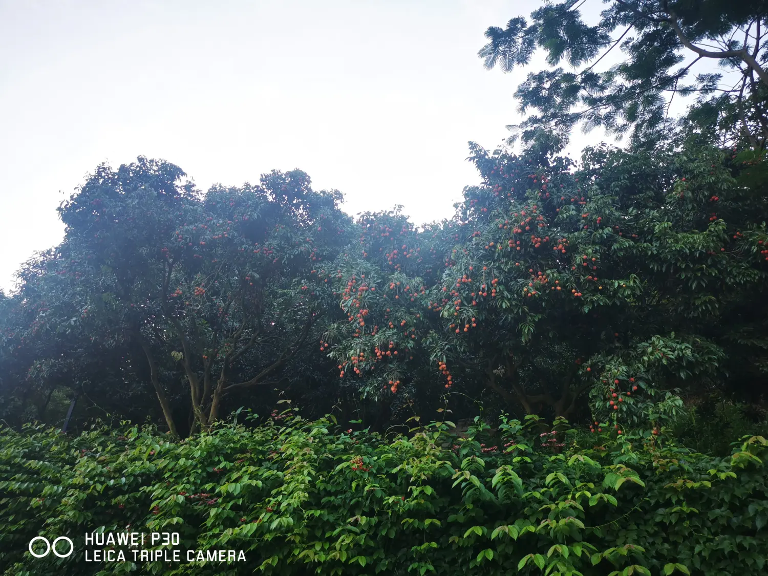 8962057-86ca8fc9ed15c509.webp