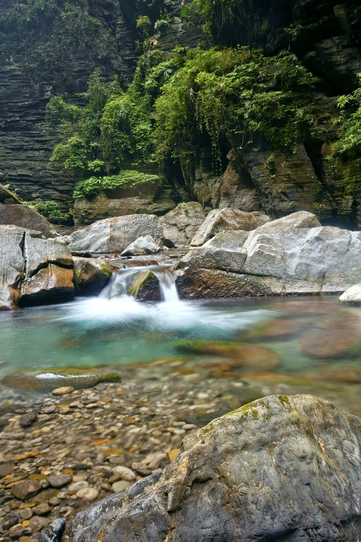 ss2.meipian (8).webp