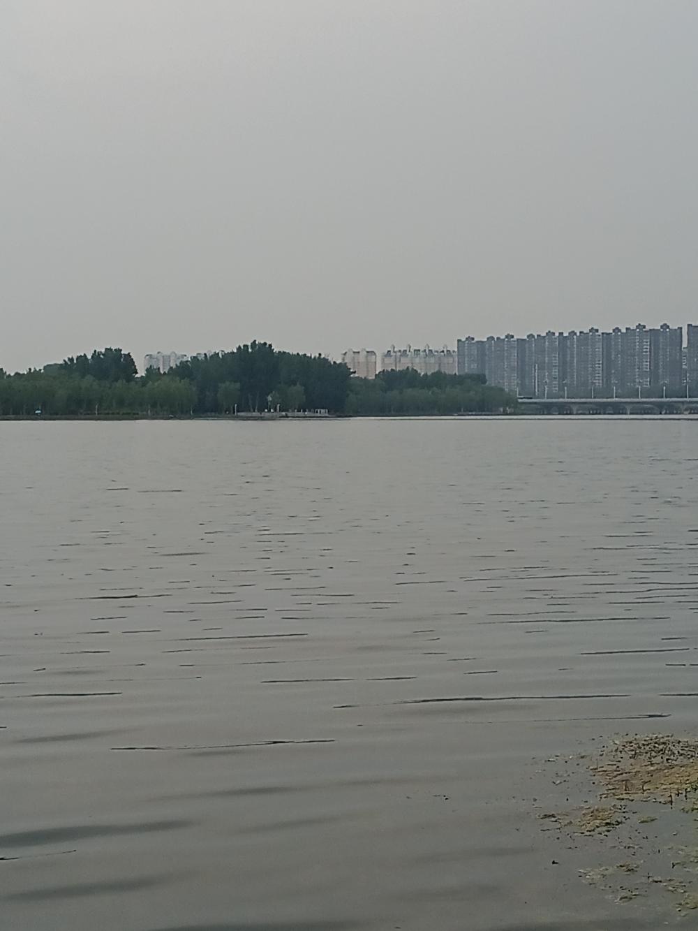 IMG_20230514_161234.jpg