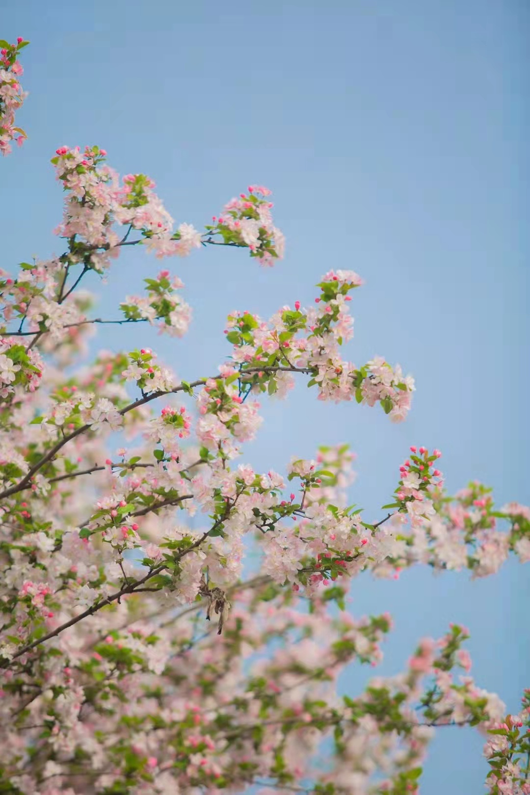 31b5c6f1b9457ca849b0bf9df0d8ac6.jpg