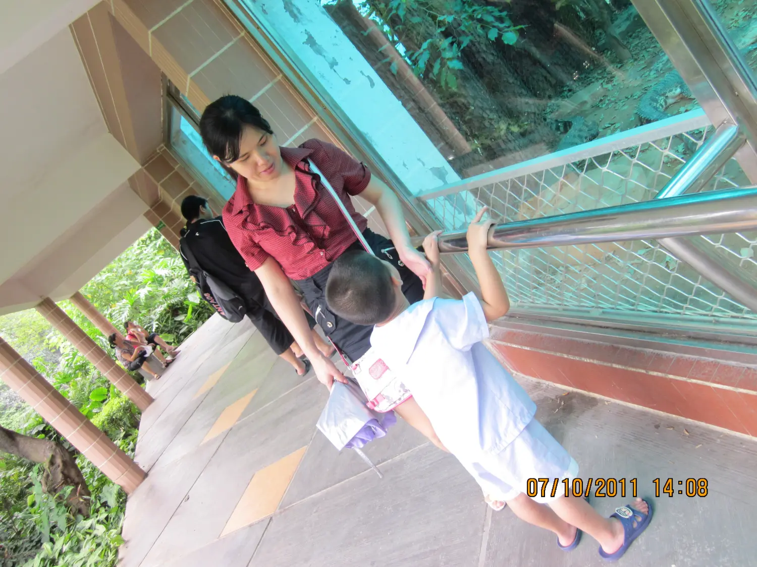 8962057-c1261e880761472a.webp