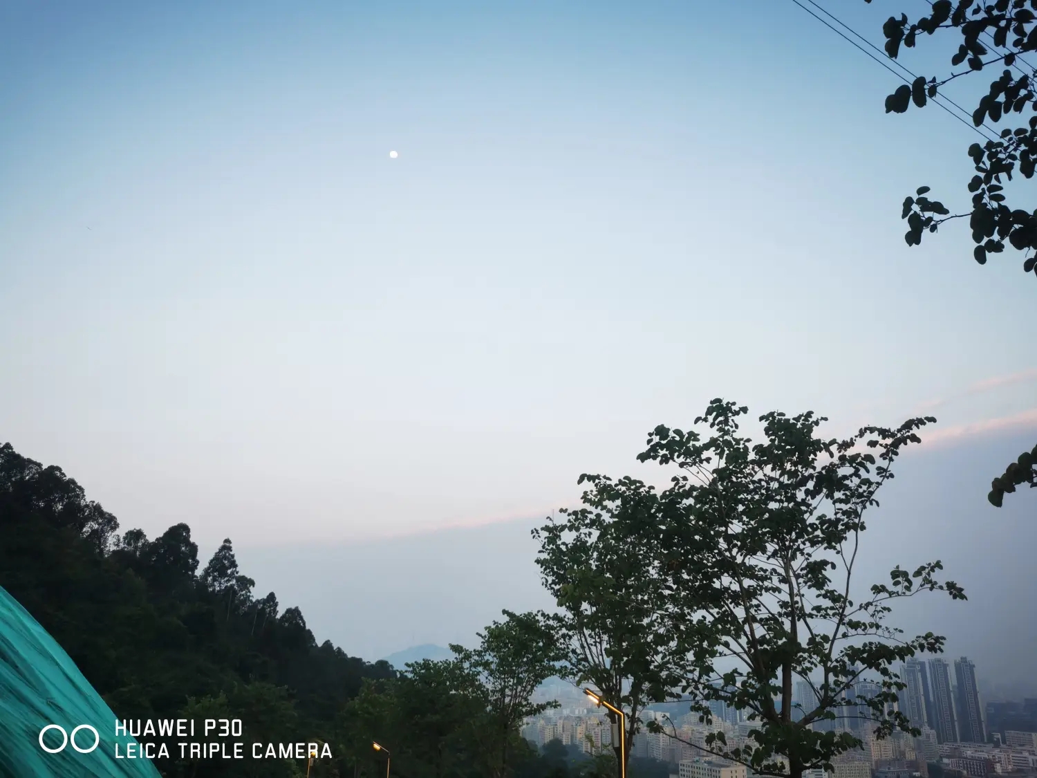 8962057-d1375047a94d7760.webp.jpg