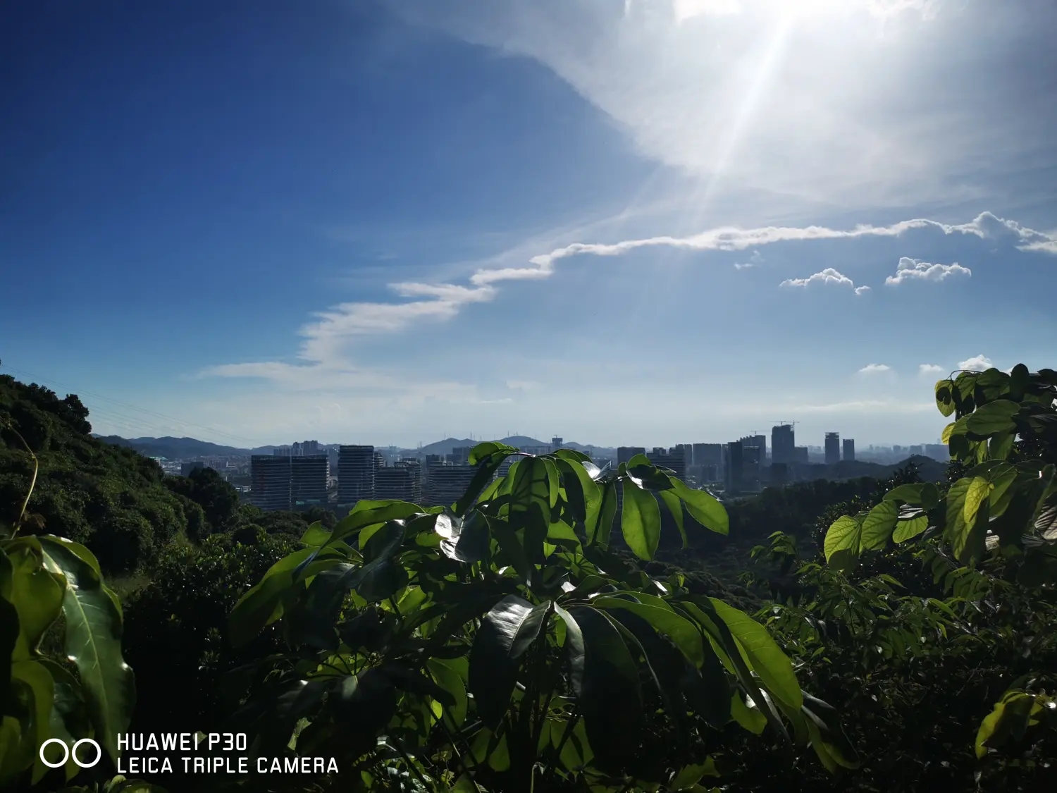 8962057-1a1971307b46332f.webp.jpg