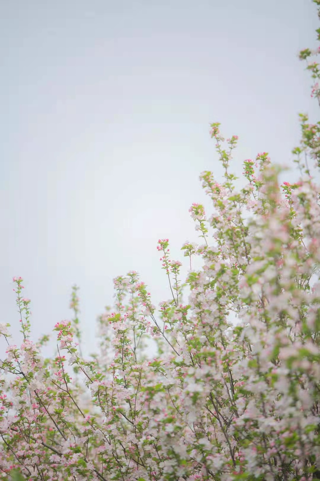 4c7a762c0f2a6af8444f5652494d30c.jpg