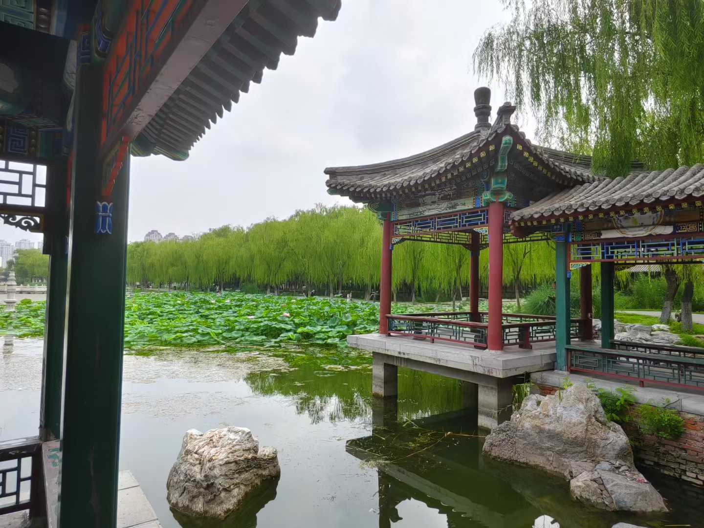 微信图片_20250802170300.jpg