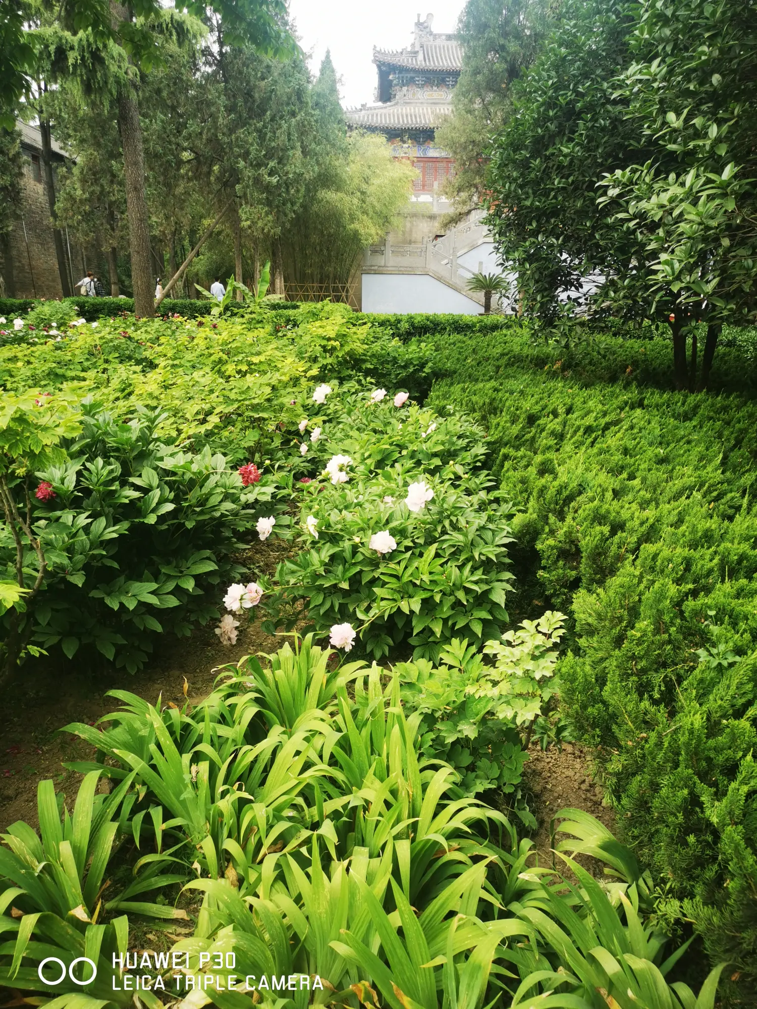 8962057-027fe7897af7a2e0 (1).webp