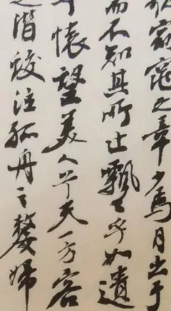 t015751d66b56f4bda2.webp