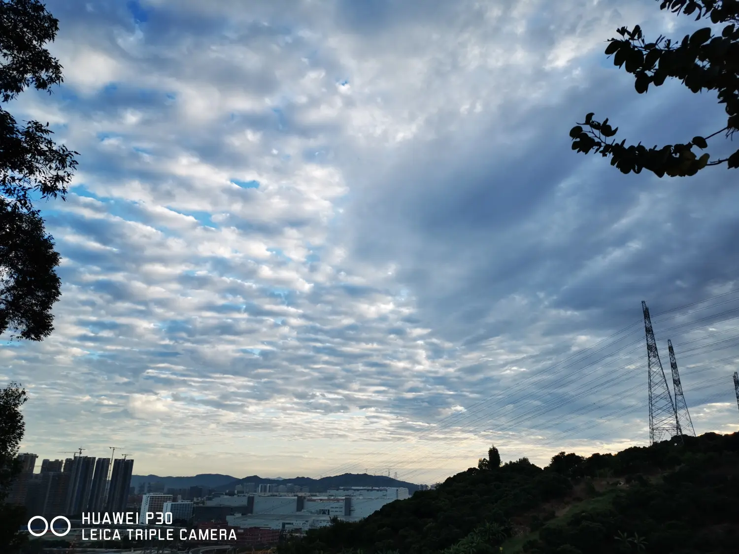8962057-ba08c3d737538d77.webp