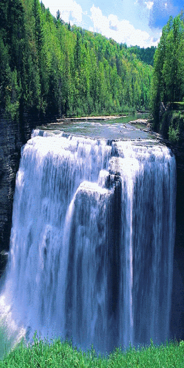 mmexportdd04d3bb1bcfb0f498ee7f9452159718_1727707667669.gif