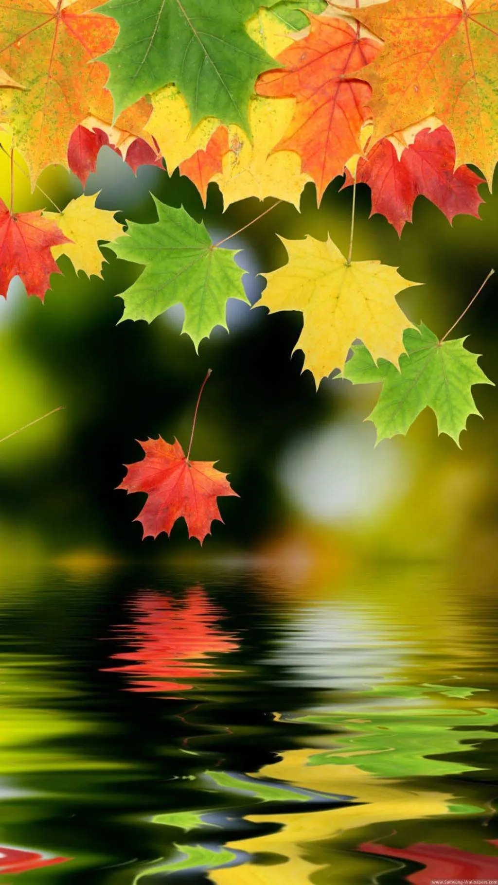 8962057-b57de0d4fcc82a16.webp.jpg