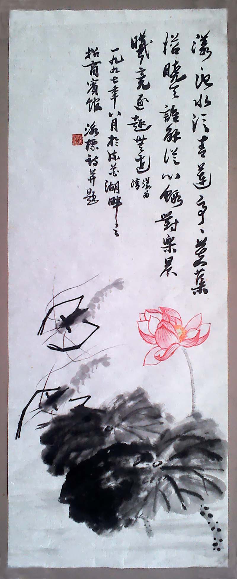 荷虾.jpg