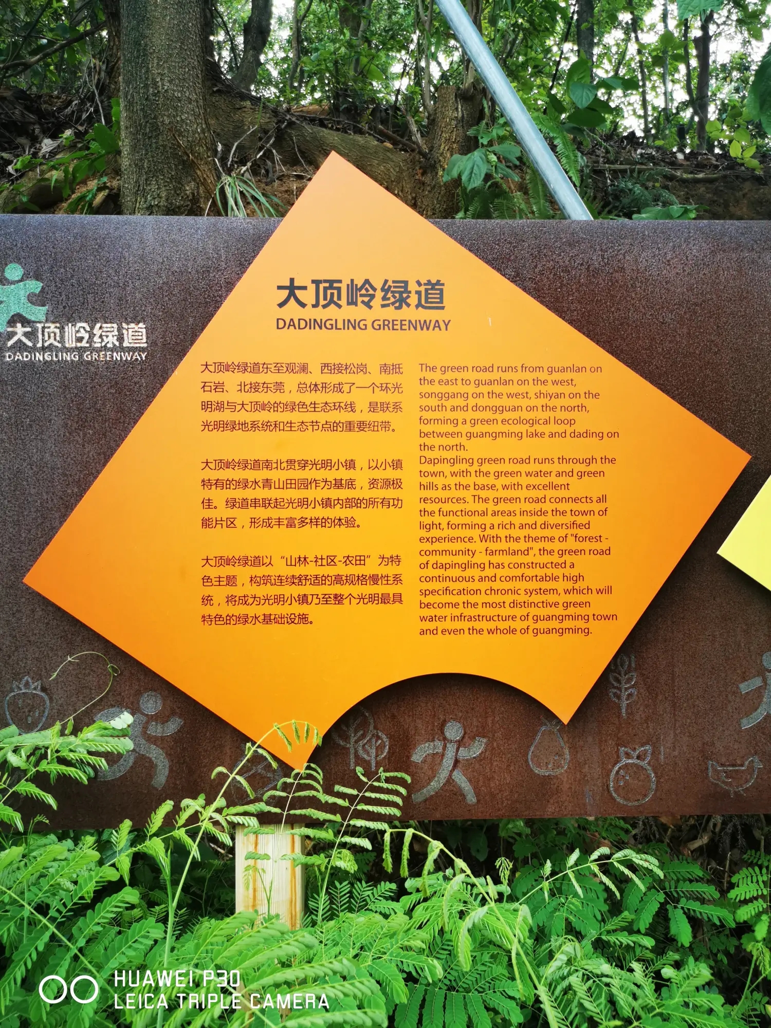 8962057-6e97a7bcb73c5350.webp.jpg