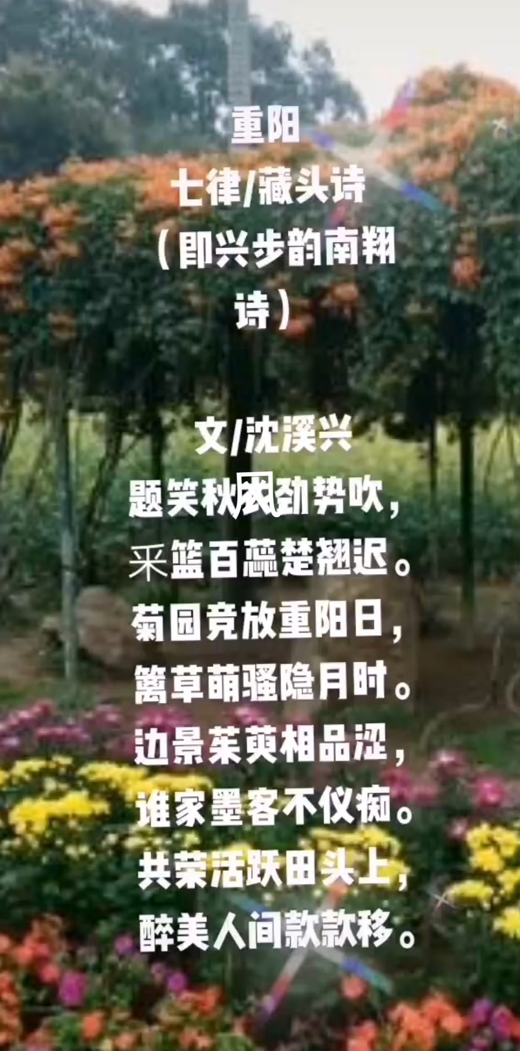 Screenshot_20250727_122027.jpg
