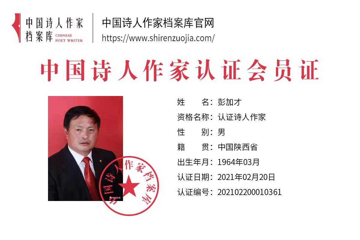 彭加(1).jpg