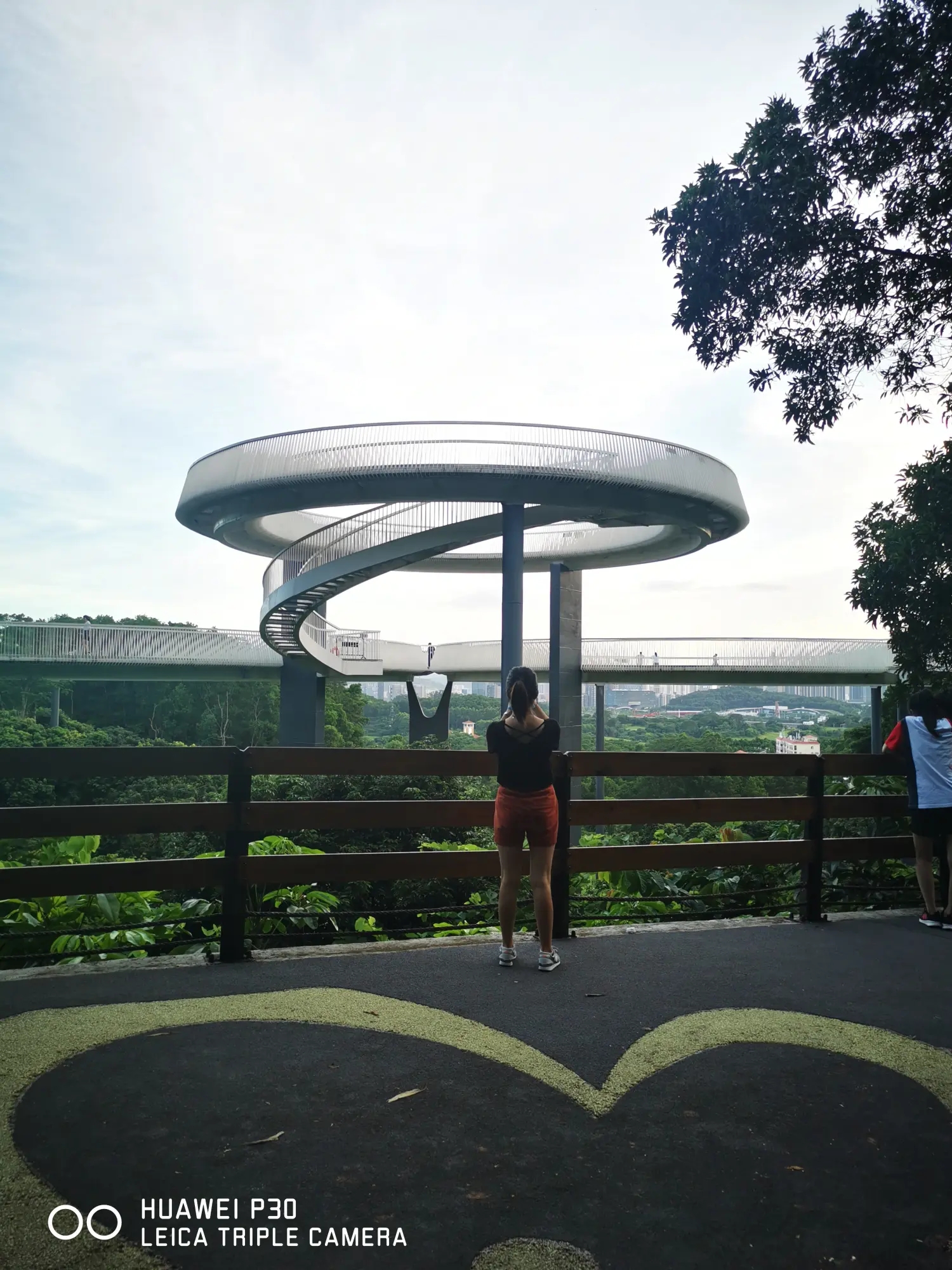 8962057-0f1167890797f1cc.webp.jpg