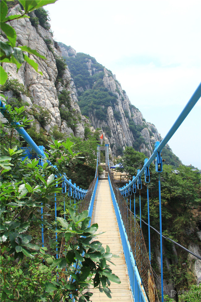 2794702_700x700.jpg