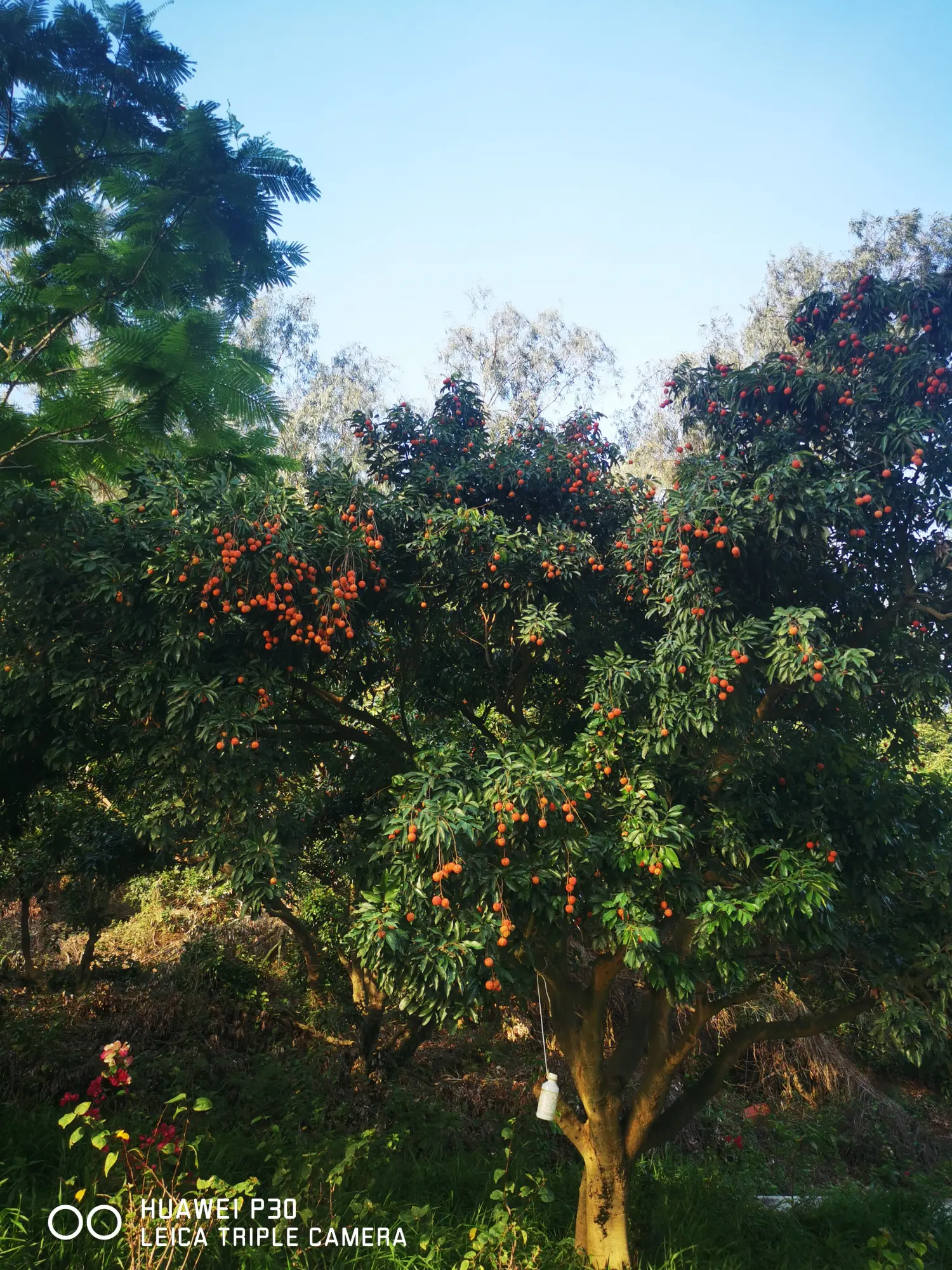 8962057-c4bdede471ea0ec7.webp