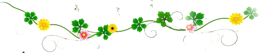 1663944929681.jpg