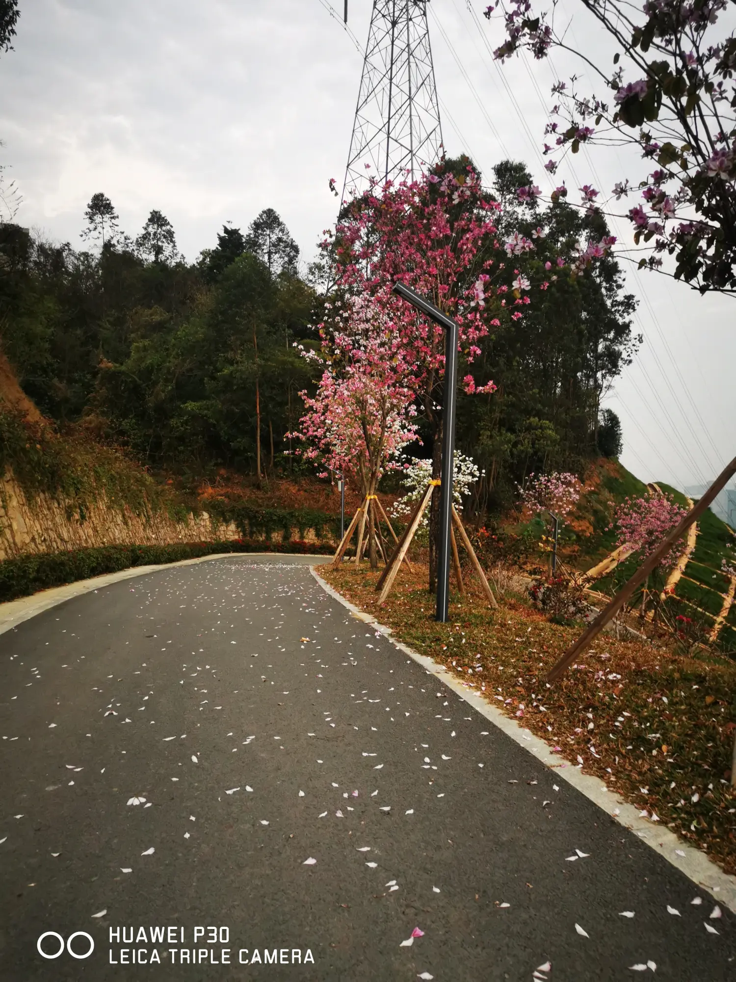 8962057-a349fe5579ec0190.webp