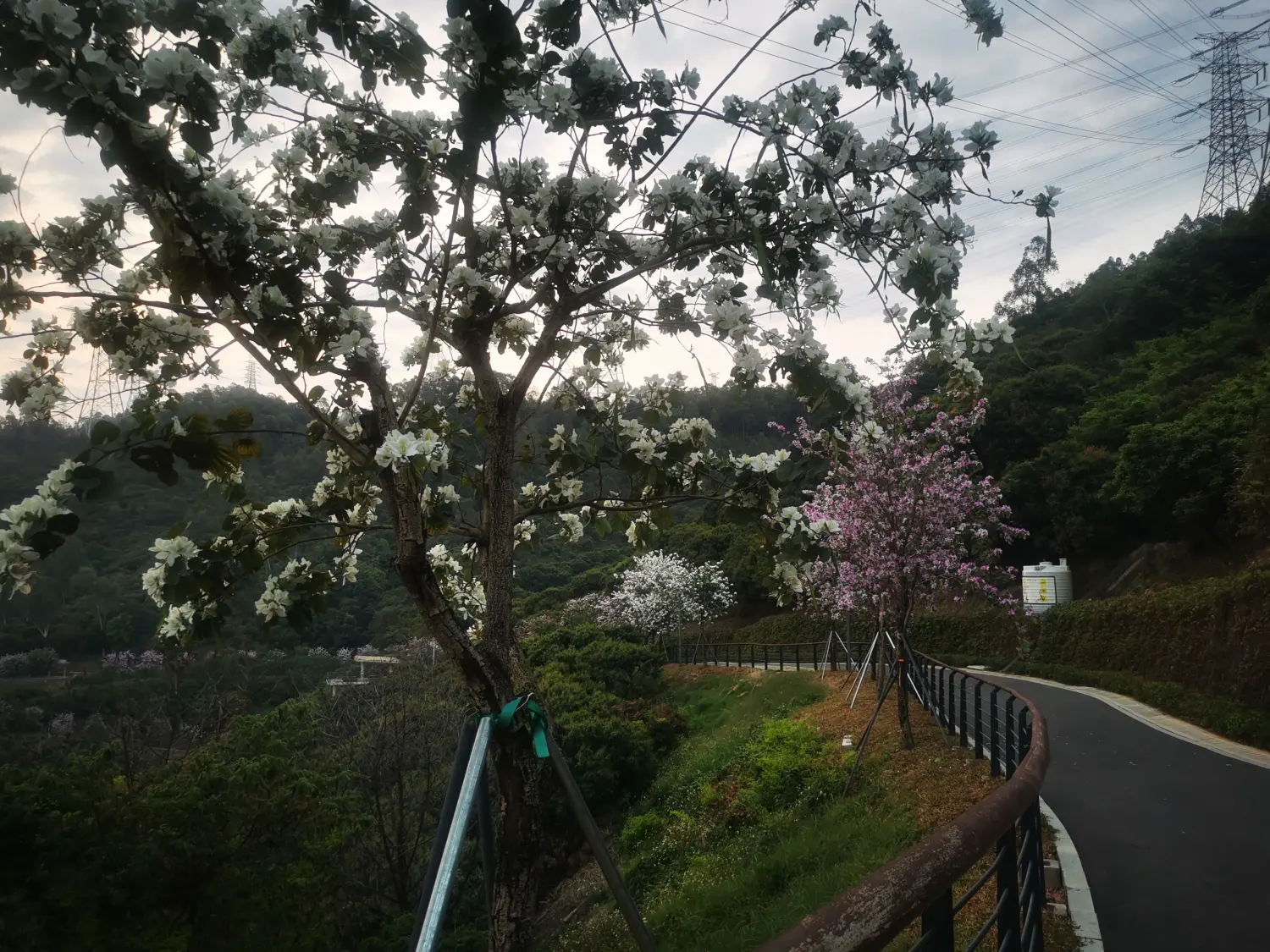 8962057-f8d111de8733d28d.webp