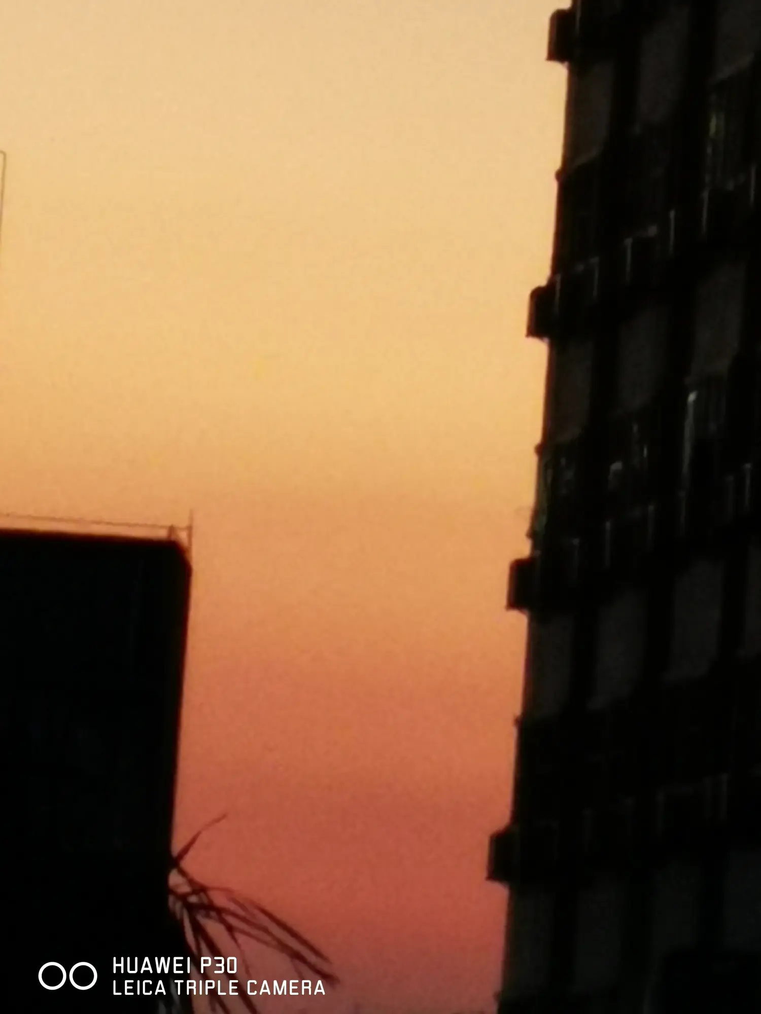 8962057-9170dfd3c186496d.webp