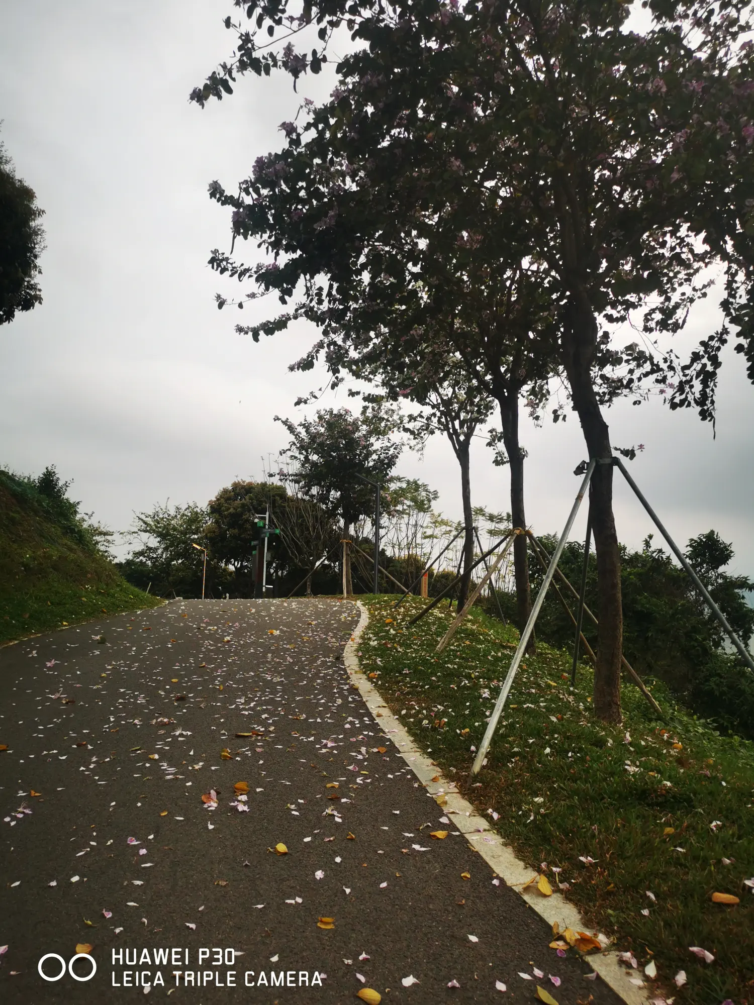 8962057-381c8272243d0010.webp