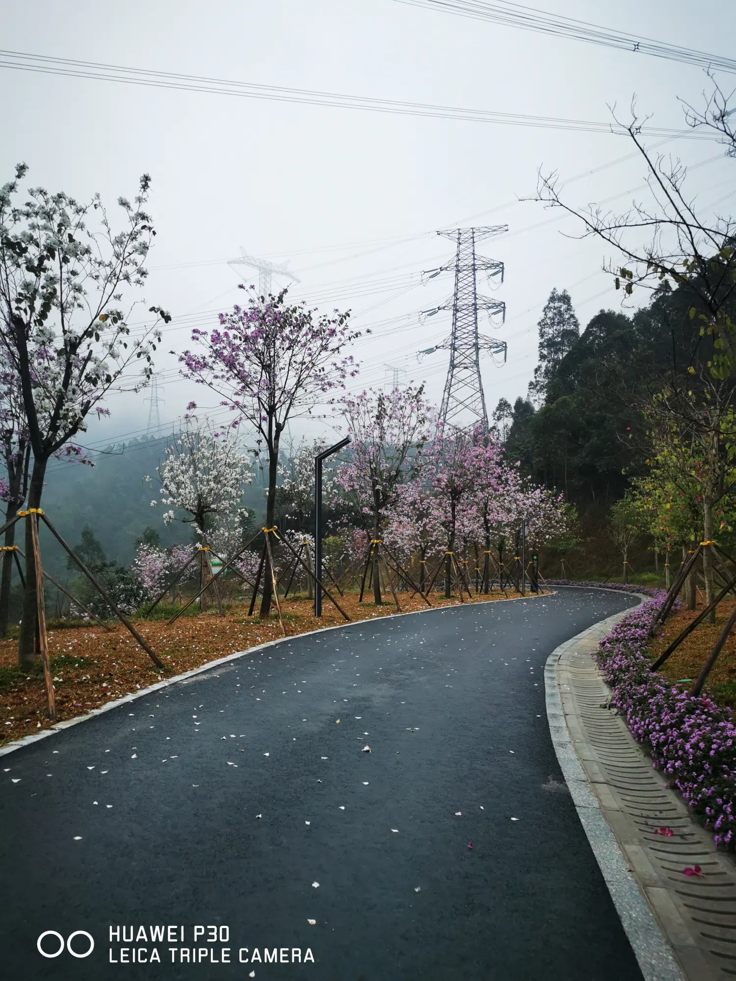 8962057-f27dd10ef60cc2d6.webp