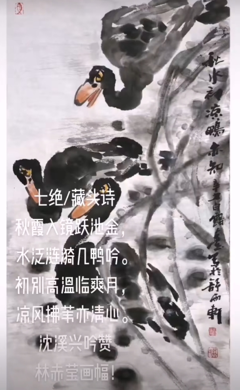 Screenshot_20250727_141936.jpg