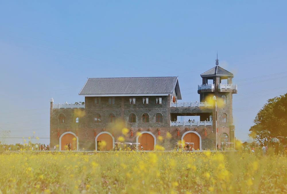 img-16466099951979b9a8c732aefb420e34858c9cc907644f86f1a029de05e82336ee4ef32bc2f34_edit_1017171935299998.jpg