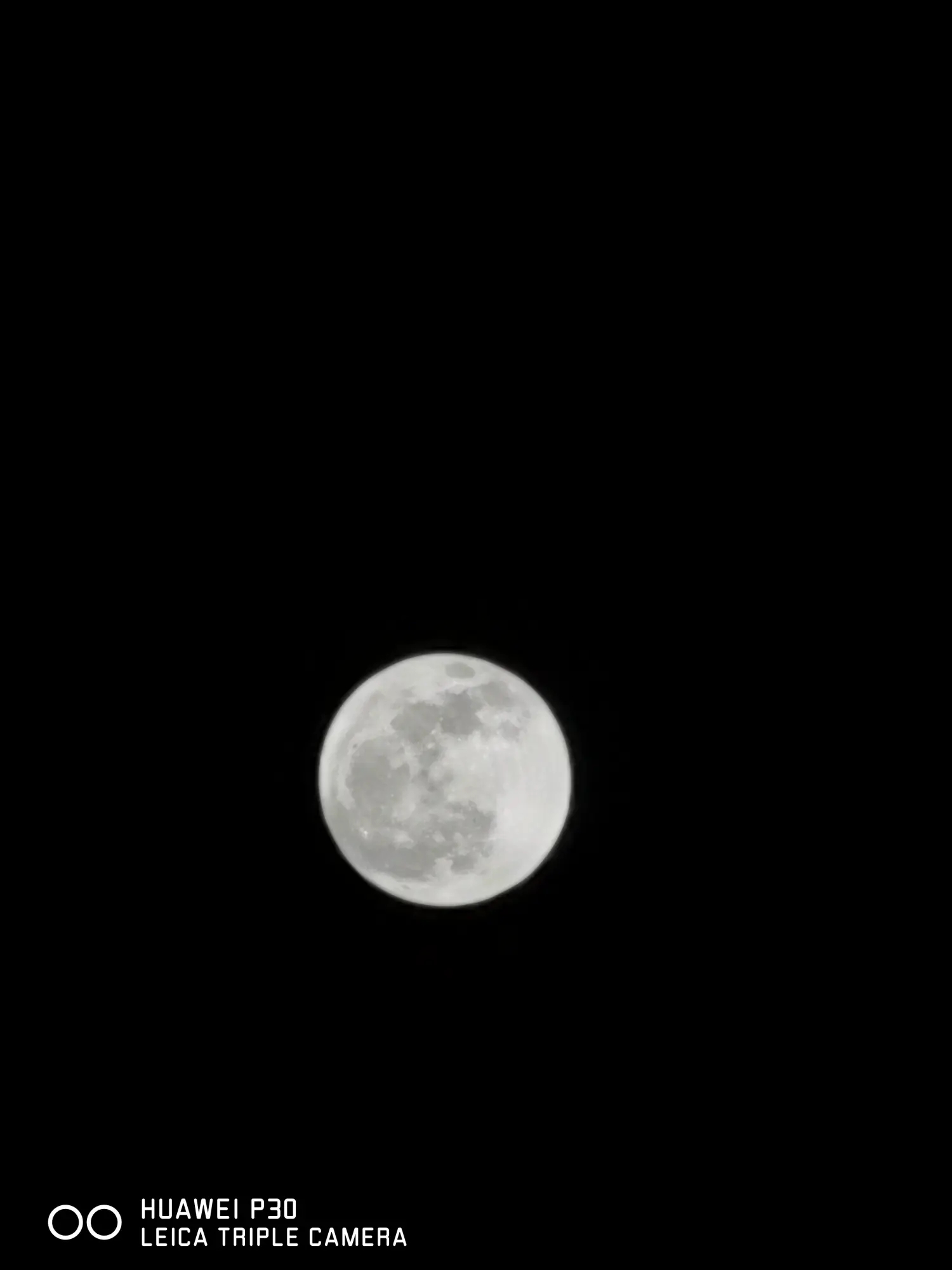 8962057-121c635ce91af8d0.webp.jpg