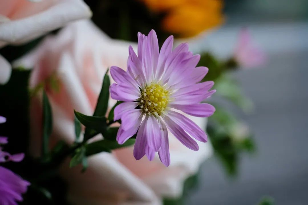 mmexport8d6befed06a3ac9f6d3432256aaba6a4_1652878789849.jpeg