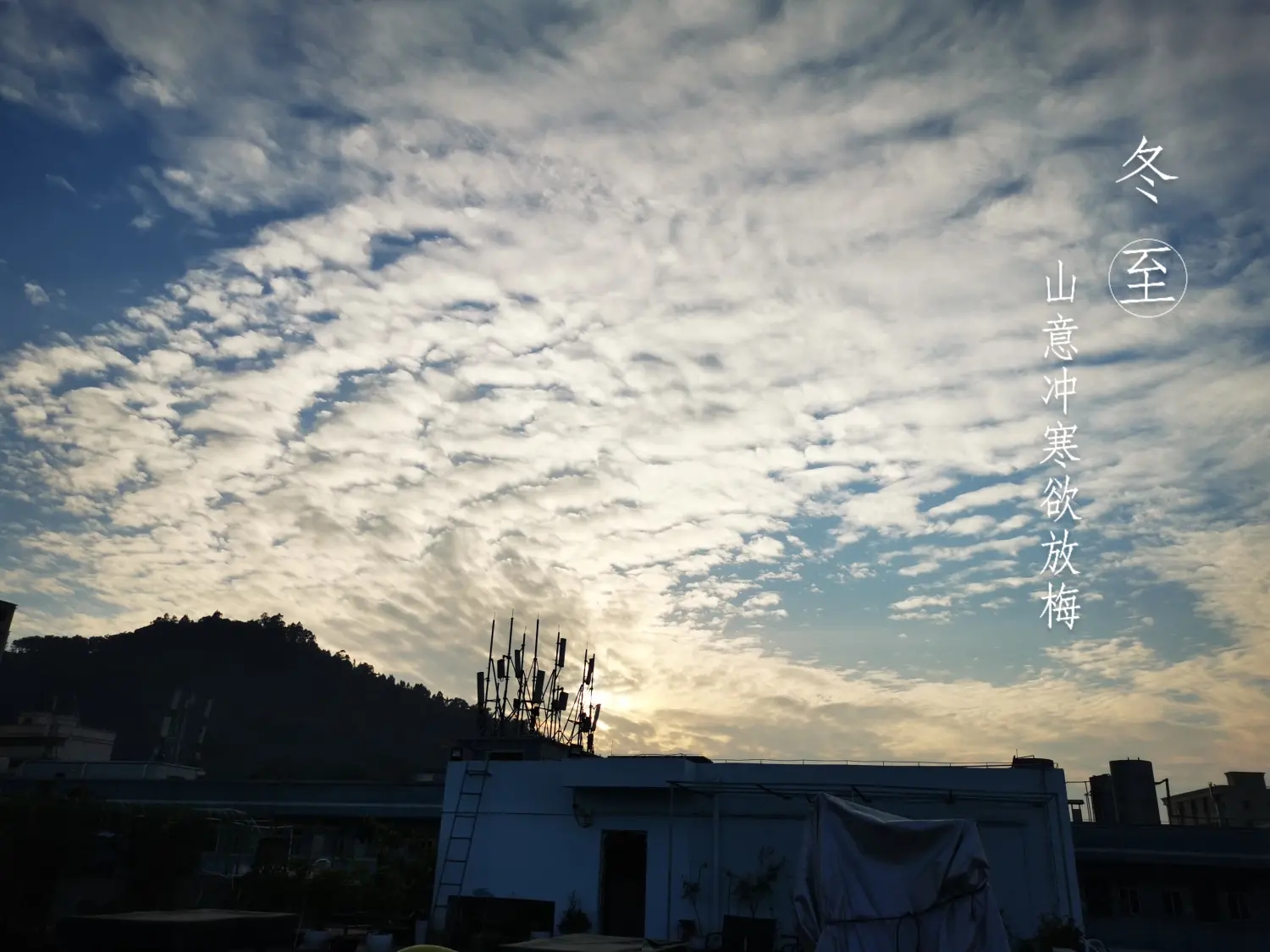 8962057-26a7c10a94765789.webp.jpg