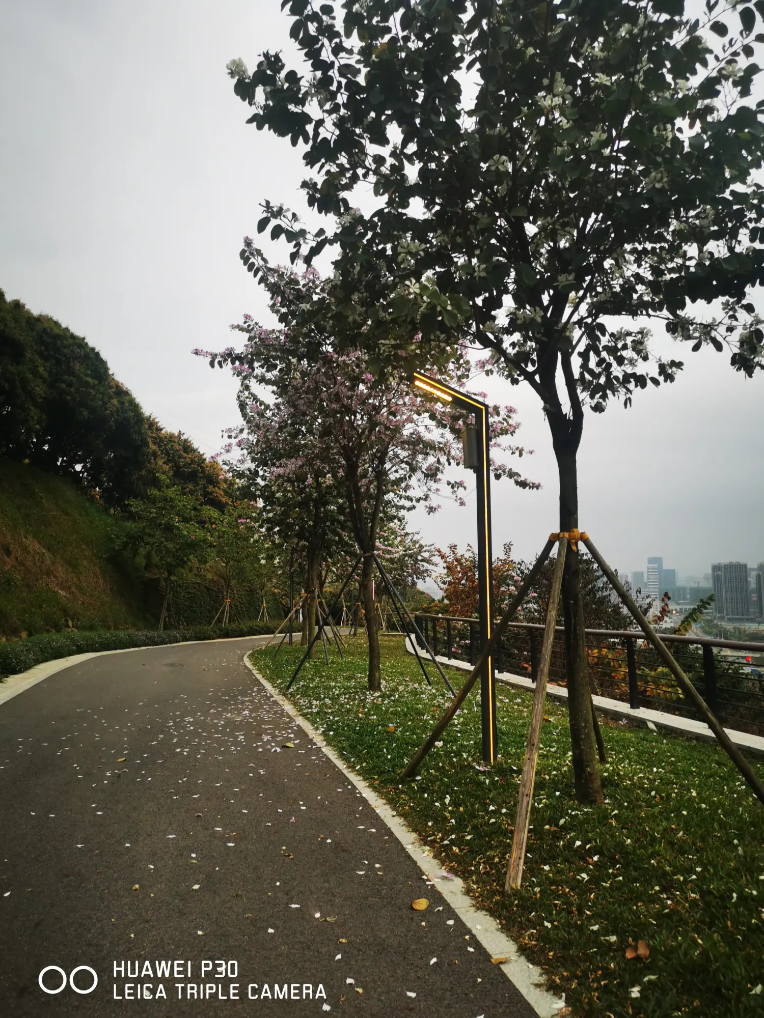 8962057-e257e663ef1c2993.webp