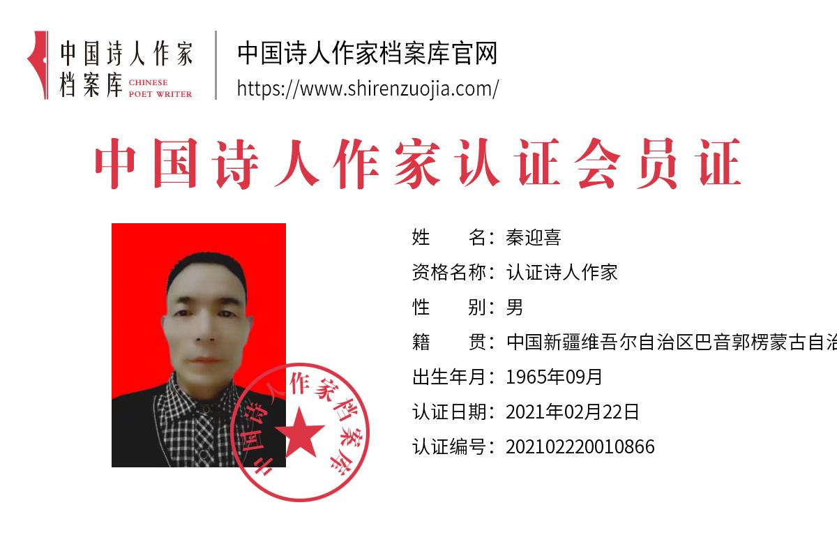 秦迎.jpg